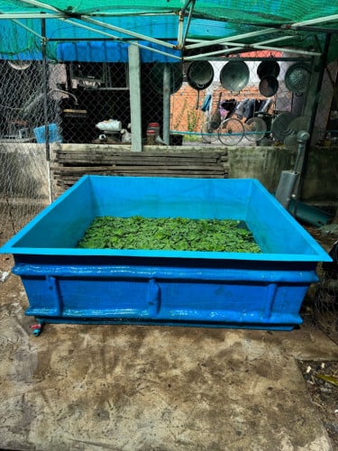 អាងចិញ្ចឹមត្រី បង្កង ធ្វើពីស្មាច់នៅស្អាត95%