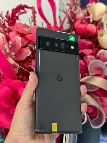 Google Pixel 6pro សំណុំហ្ស៊ីនស្អាត