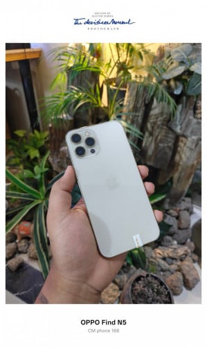 iPhone 12 Pro Max/CH/128G/