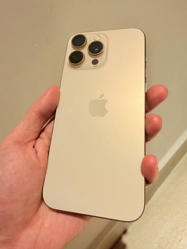 iPhone 16 Pro Max 256GB by Malaysia Apple Sote