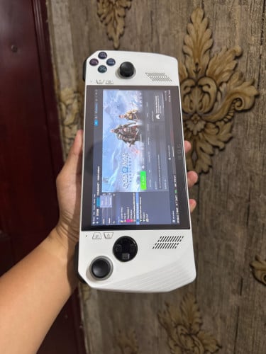 ROGALLY + 80wh battery