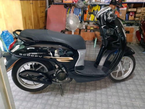Scoopy i 024 អត់ពន្ធ បង់ពន្ធបាន