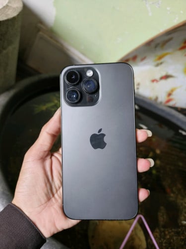 សាណុំហ្ស៊ីនស្អាតណាស់