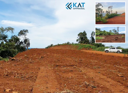 ដីចំការសម្រាប់លក់