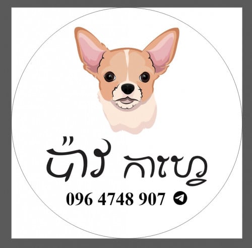 ផ្នែកឆុងកាហ្វេ ១នាក់(ភេទស្រី)