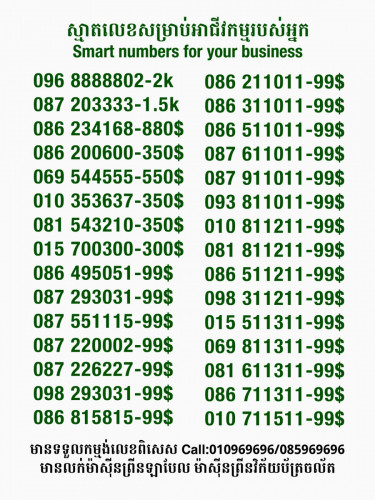 លេខពិសេសសម្រាប់អាជីវកម្ម