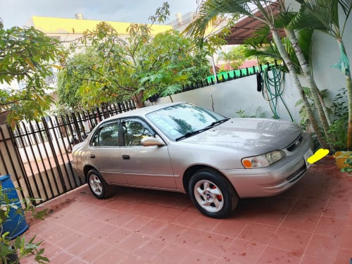 កូរ៉ូឡា 1998 តម្លៃ $4,800 ចរចារ