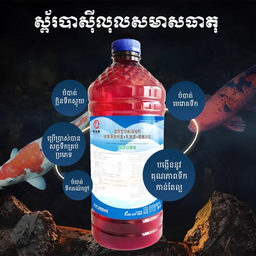 ការបន្សុទ្ធទឹក ការសម្លាប់មេរោគ និងការសម្លាប់មេរោគ Bacillus subtilis2000ml