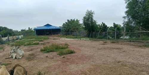 + ដីលក់នៅខេត្តព្រៃវែង ស្រុកមេសាង – តម្លៃល្អ ចរចាបាន 🏡