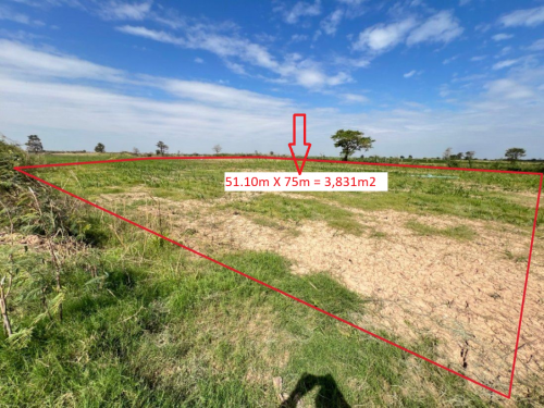 🏦Land for Urgent sale (Negotiable) ABA Loan Available.