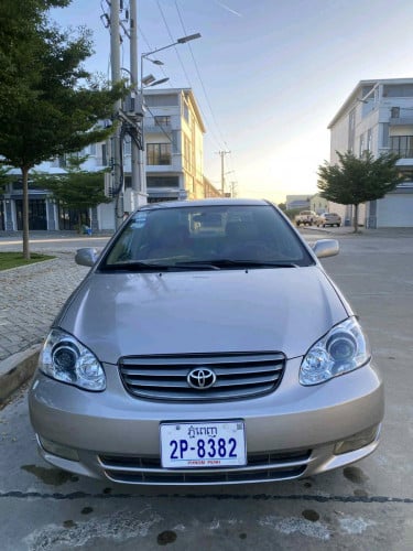 Corolla 03 ក្នុងលឿង ប្រភេទមេឡាន មិនបុកមិនប៉ះ