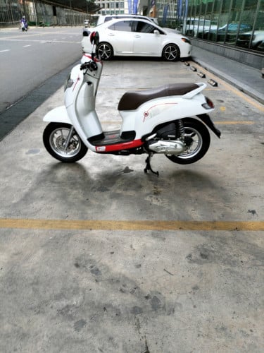 Honda scoopy 2020