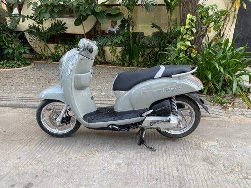 Honda scoopy.i ឡេីងសេរី2024