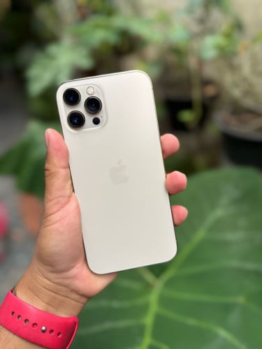 IPhone 12 PM 256G ZP សានុំ​ ថ្មសុីន​ 76% 325$ ភ្នំពេញ​ 098390490