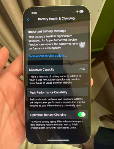 iPhone 12ProMax 128G LL/A សាណុំស្សីនតួរដីចក្នុងរូប (ចរចាបាន)