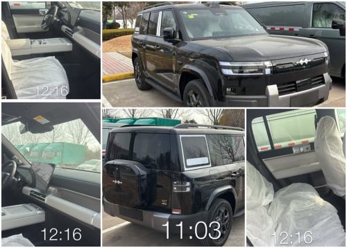 Leopard 7 ដល់ចុងខែ12