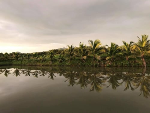 ដីលក់បន្ទាន់