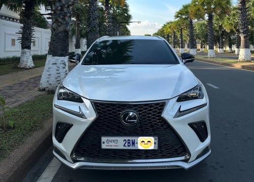 ឡានជិះផ្ទាល់ NX200t 2015 ពណ៌ស