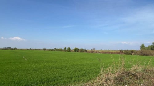 🏦Land for Urgent sale (Negotiable), ABA Loan Available