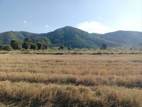 🏦Land for Urgent Sale (Negotiable), ABA Loan Available