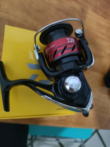 Daiwa Sweepfires 3000