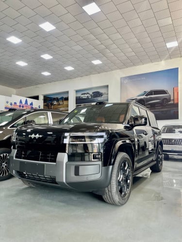 DENZA LEOPARD ti7 full option ultra AWD