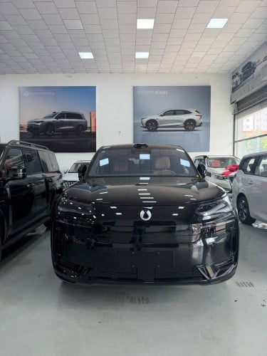 Denza N9 black edition