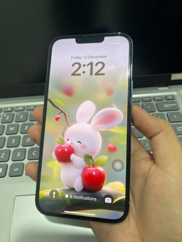 iPhone 13 Pro Max សាណុំសុីន ZA