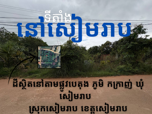 ដីលក់បន្ទាន់ នៅតាមផ្លូវបេតុង ខេត្តសៀមរាប