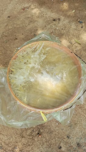 ស្ករត្នោតកំពង់ស្ពឺ ១០០%