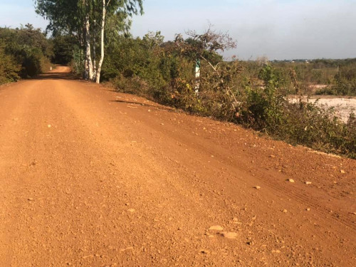 ដីលក់ធូរថ្លៃ 65*75m