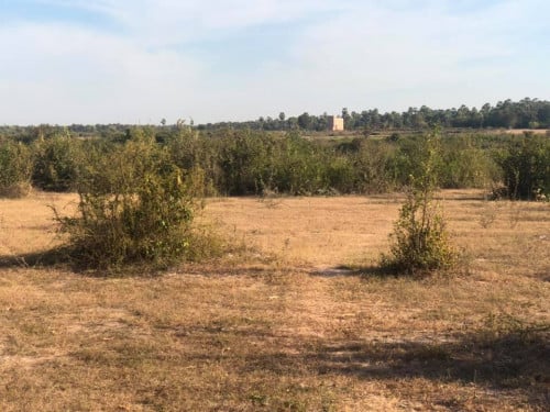 ដីលក់ធូរថ្លៃ 65*75m