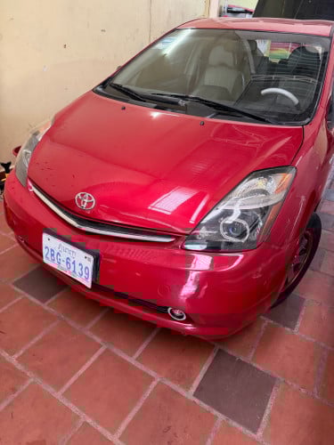 07 ហ្វូលក្រហមRose