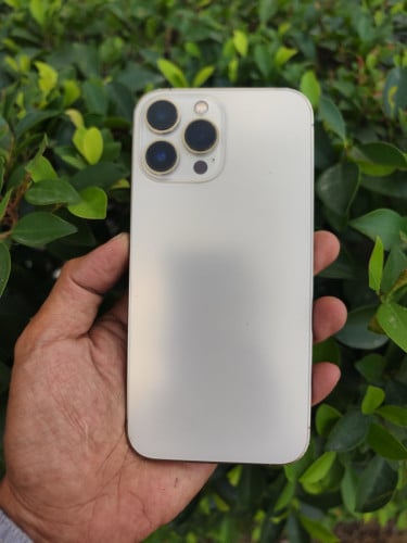 13Pro Max 256G LLណែន