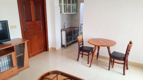 Fully Furnished 1-Bedroom Apartment For Rent