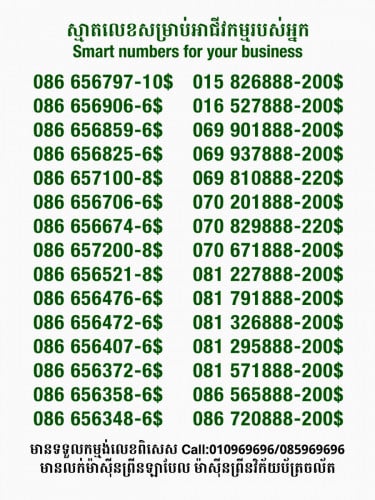 Smart លេខសម្រាប់អាជីវកម្ម