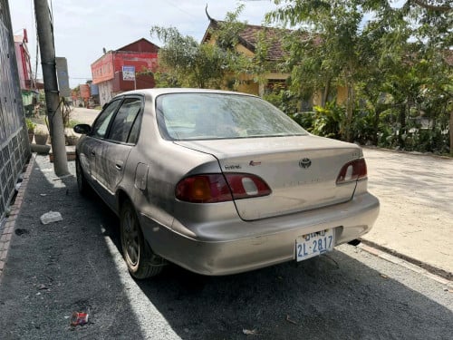 ទើបកាត់បានក្ដៅ