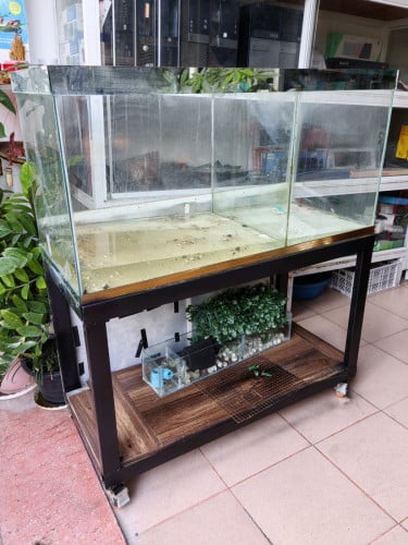 តុនិងទូត្រីលក់