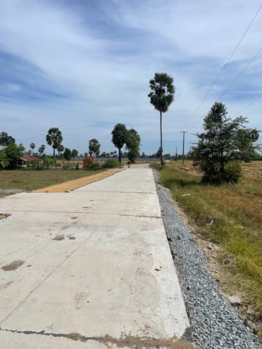 ដីលក់ជាប់ផ្លូវបេតុង