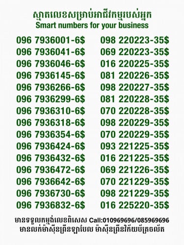 លេខពិសេសសម្រាប់អាជីវកម្ម