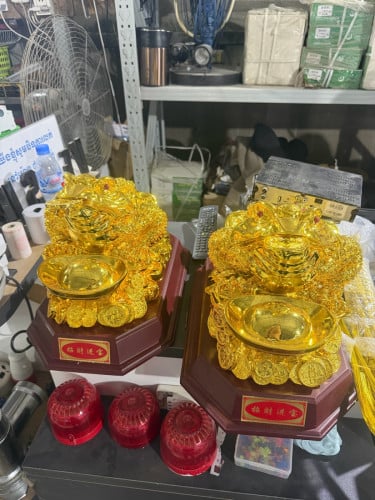 កង្កែបមាស1គូរ