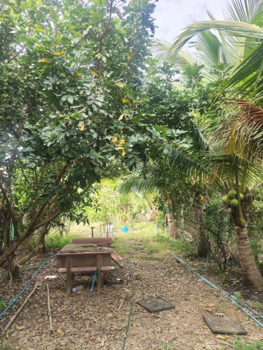 ដីលក់(8x32)