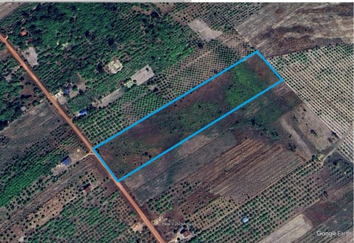 ដី ៤ ហិកតា - Land 4 hectares