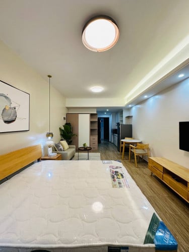 Beautiful studio at condo morgan for rent