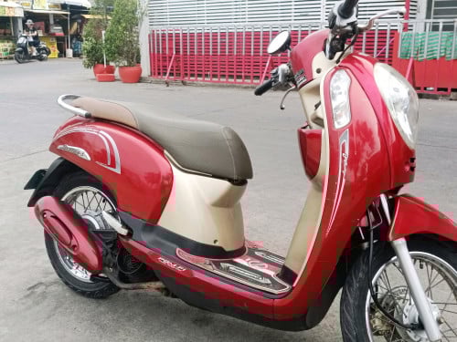 Honda Scoopy