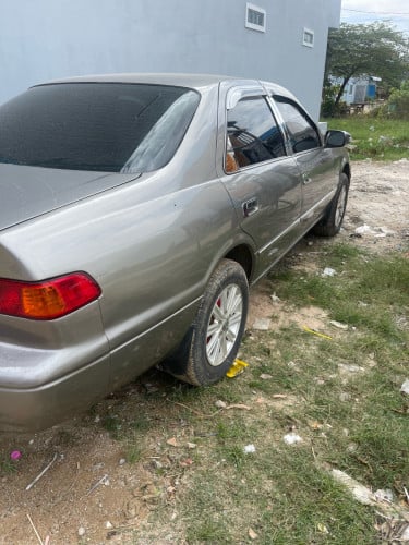 លក់ម្ចាស់ដើម