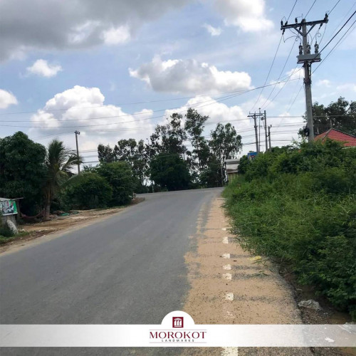 ដីលក់ #បន្ទាន់ខ្លាំង លើផ្លូវ21
