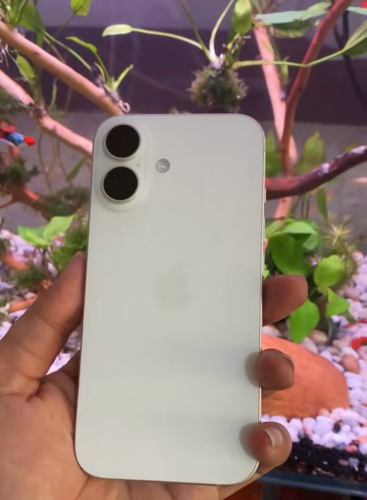 លក់ iPhone 16 តូច 128G Kh ថ្ម100% ស្អាត99%