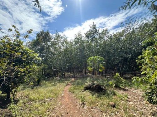 🏦Land for Urgent sale (Negotiable), ABA Loan Available