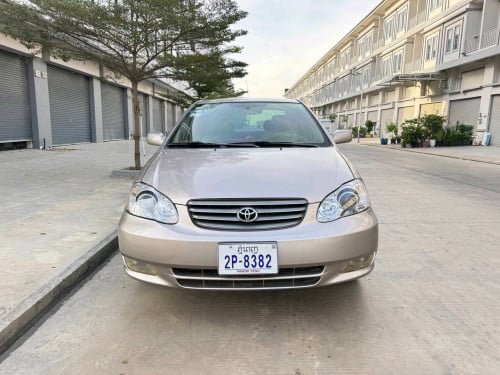 Corolla 03 ក្នុងលឿង ប្រភេទមេឡាន មិនបុកមិនប៉ះ